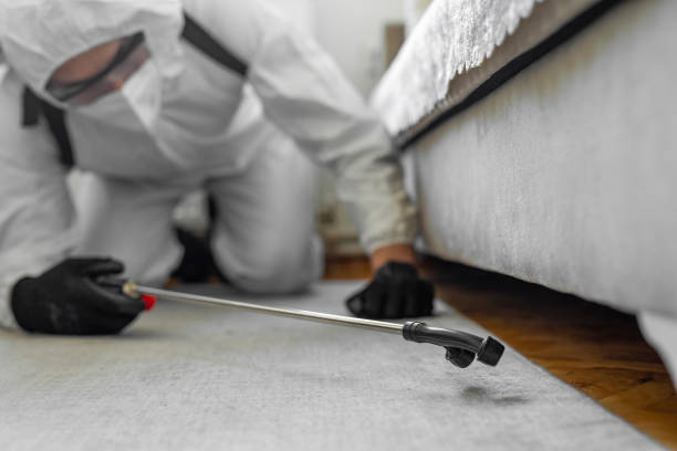 Professional Pest Control technician working in Plains, TX