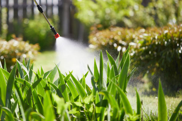 24/7 Emergency Pest Control experts in Plains, TX